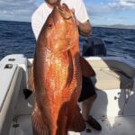 Sport Fishing Private Boat Charter Costa Rica