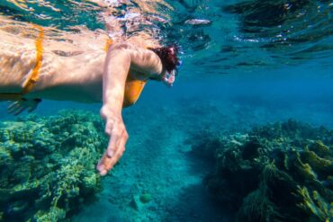 Snorkeling in Costa Rica