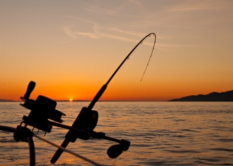 The Hidden Benefits of Sports Fishing