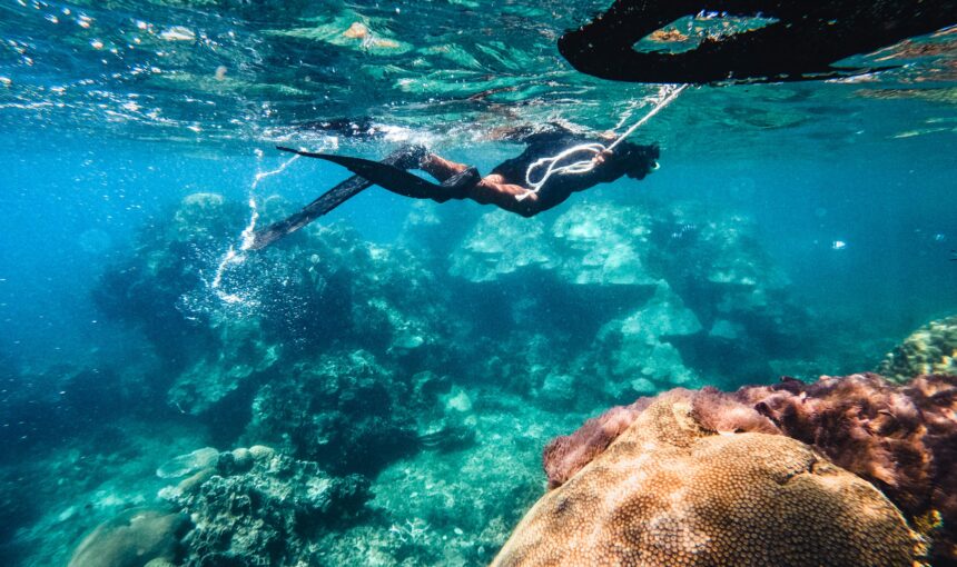 Experience Snorkeling in Playa Tamarindo to See the Underwater Paradise